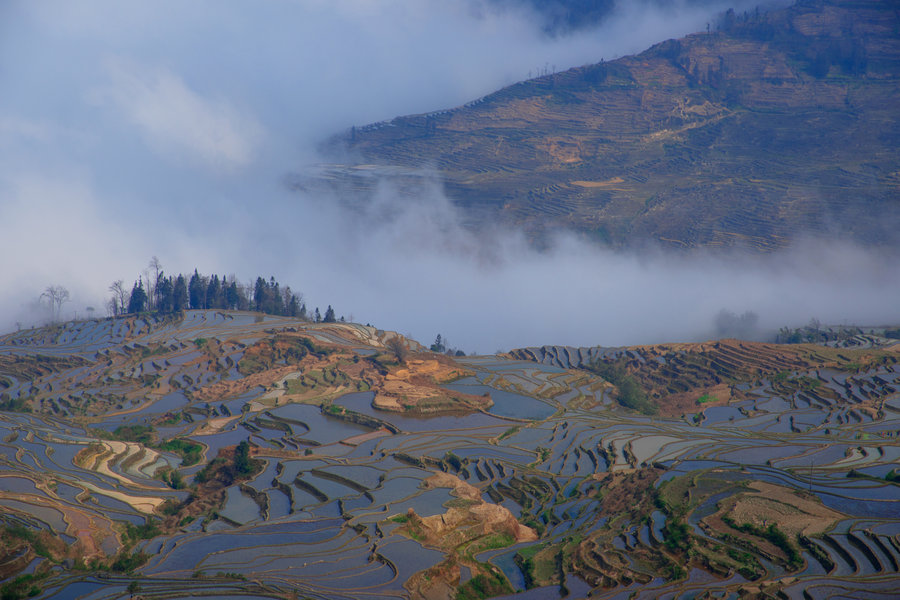 雲南元陽梯田