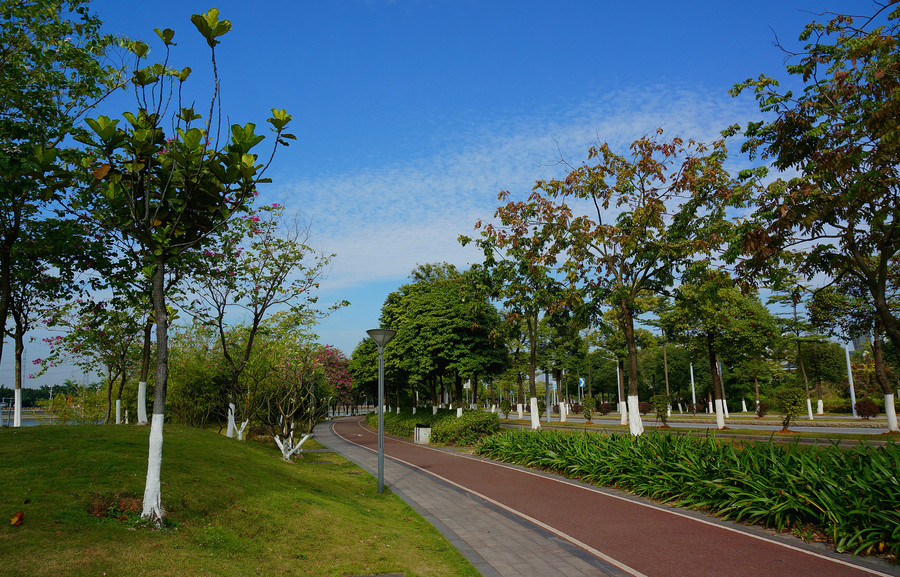 官洲岛图片