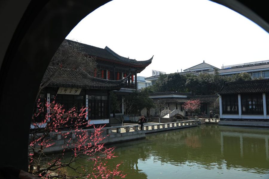 常州紅梅公園擷景