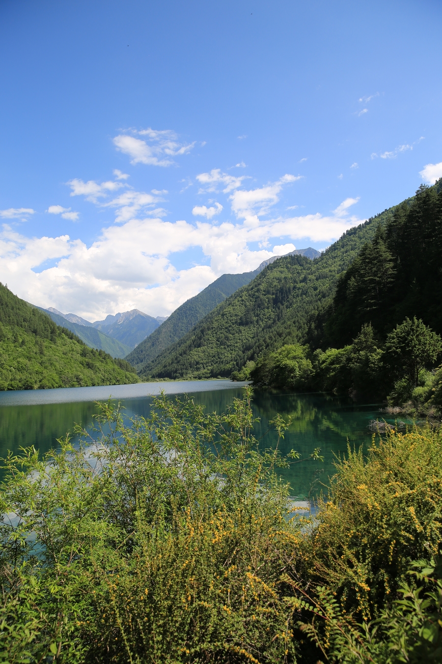 美丽的九寨沟风景(共p)