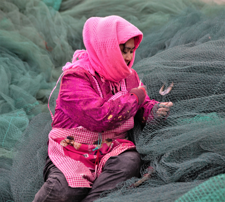 渔家姑娘织渔网图片图片