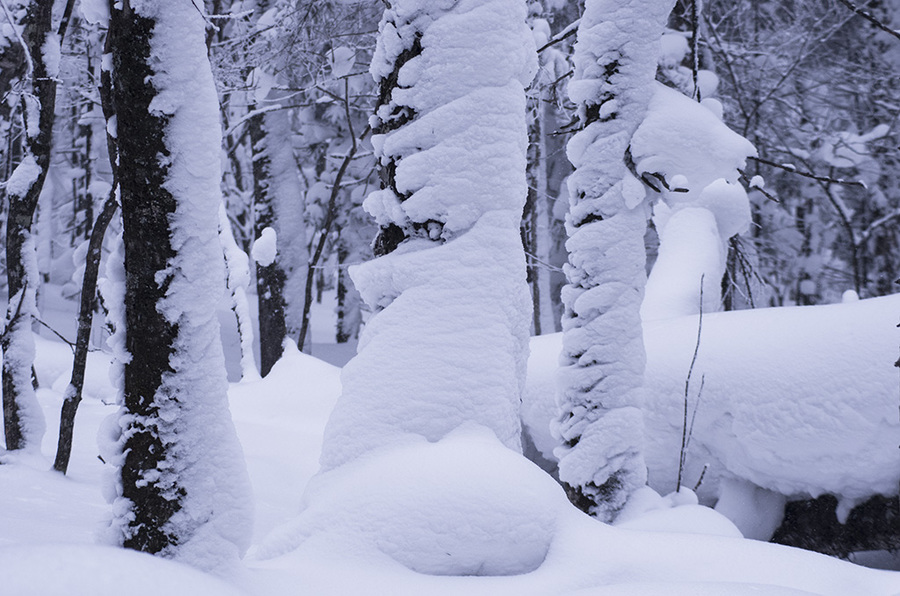 雪景摄影作品名称图片