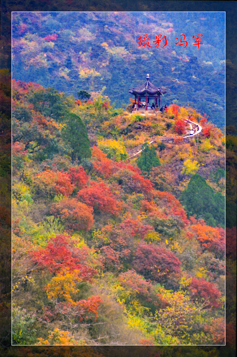 秋天的香山公园图片