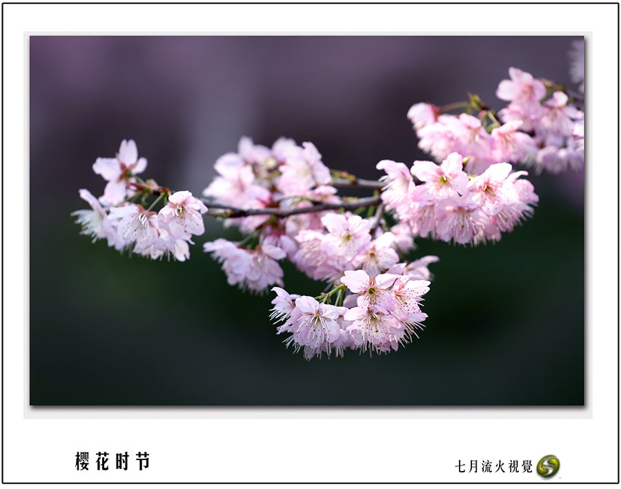 ӣʱ