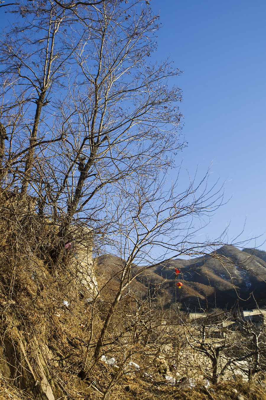 寂静的小山村(共p)