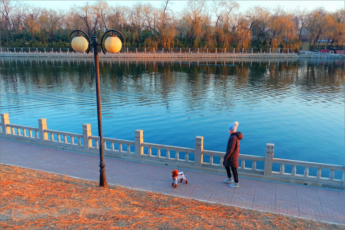 昆玉河畔清晨即景（北京）