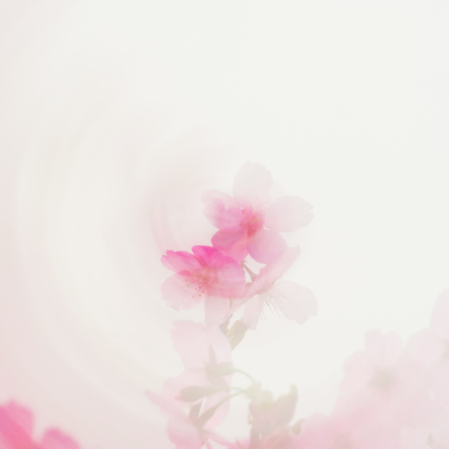 ӣ԰