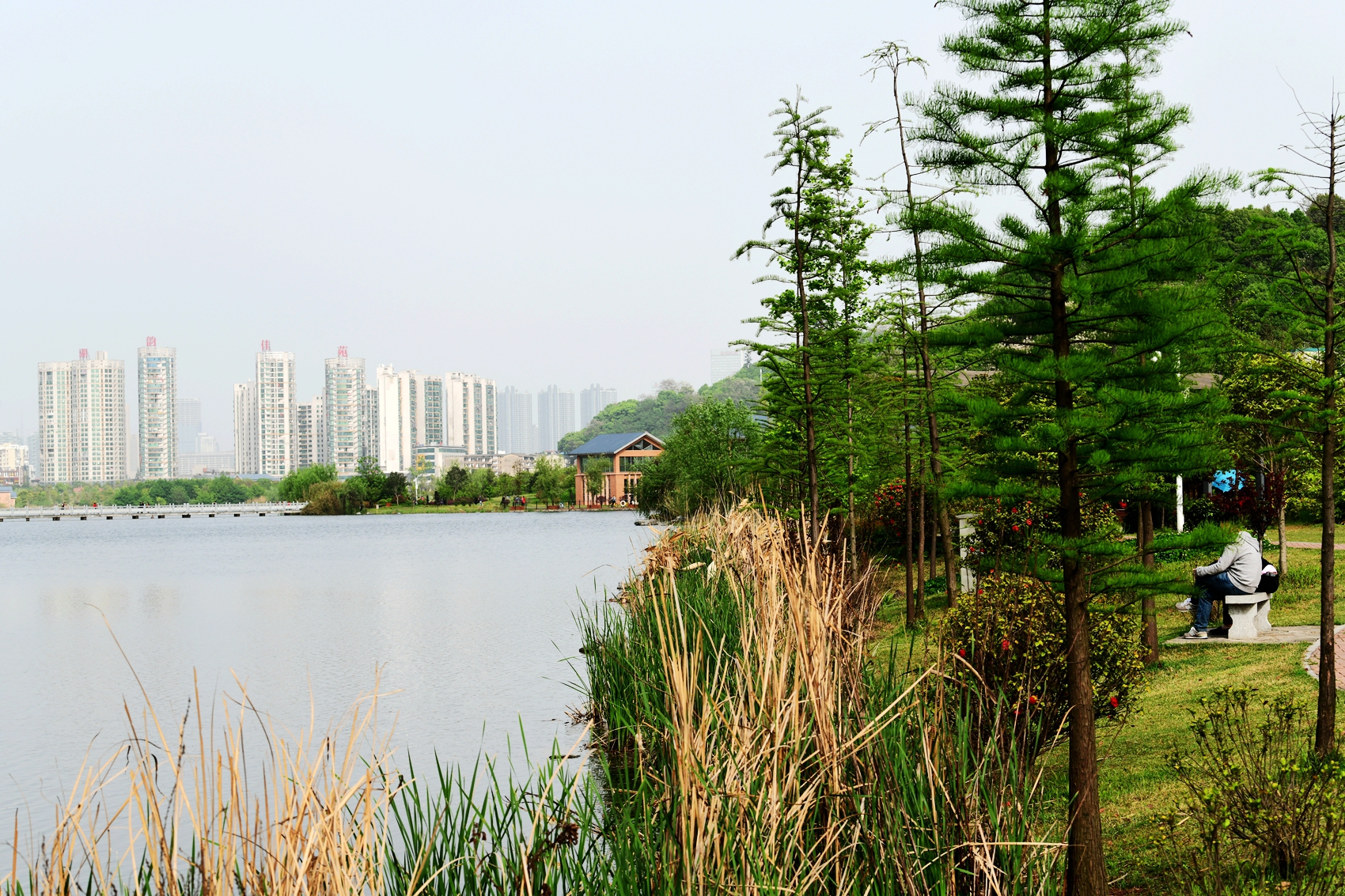 长沙西湖公园-中关村在线摄影论坛