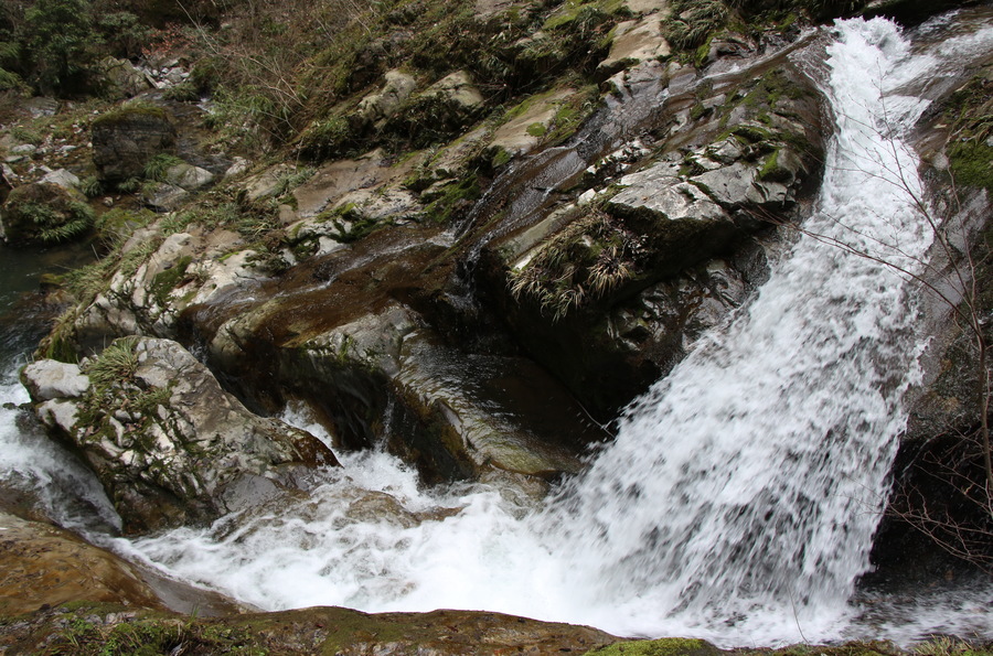 胡康河谷野人山图片