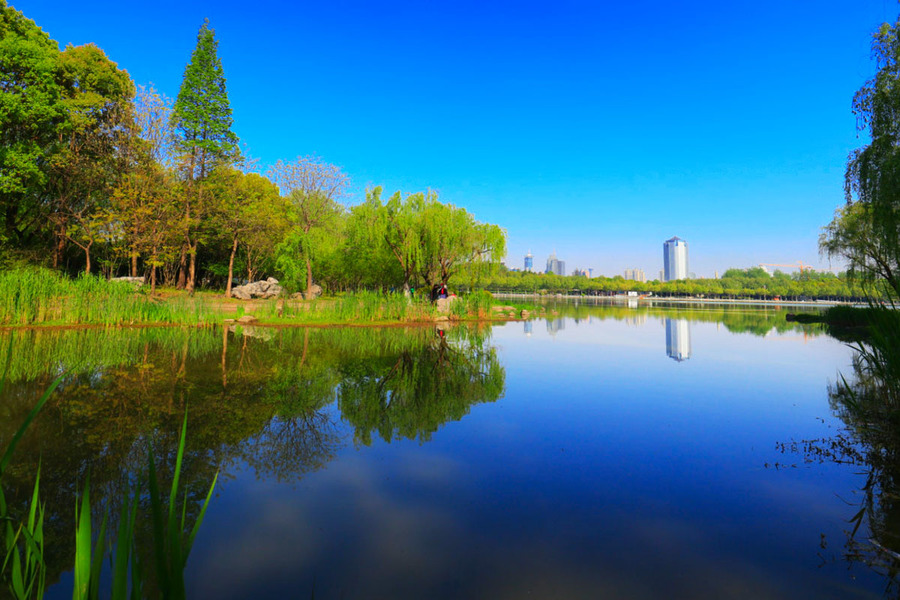 上海世紀公園