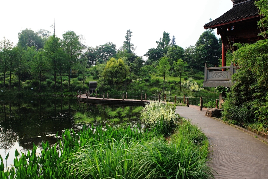 重慶壁山溼地公園一角