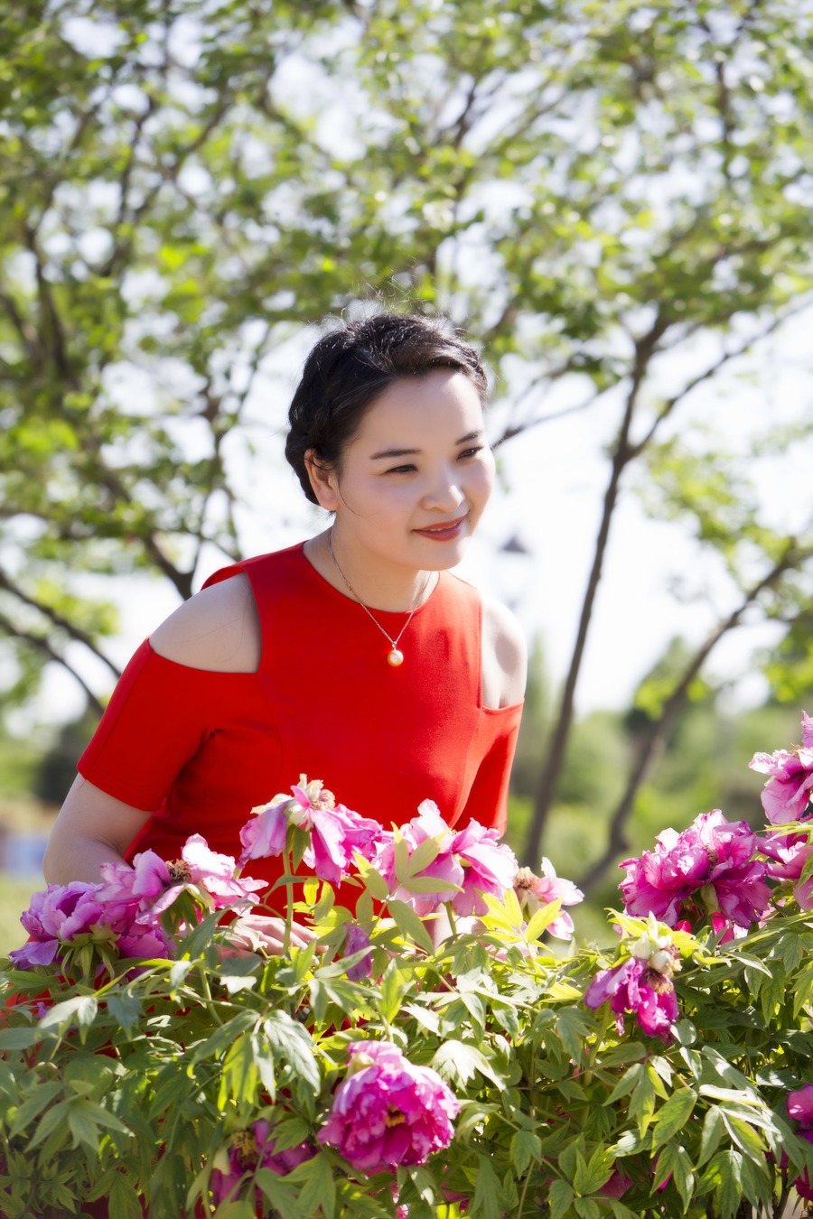 牡丹花田湘妹子