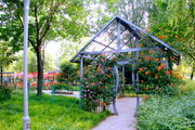 初夏的郑州植物园