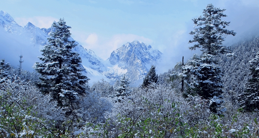 宜宾雪景图片