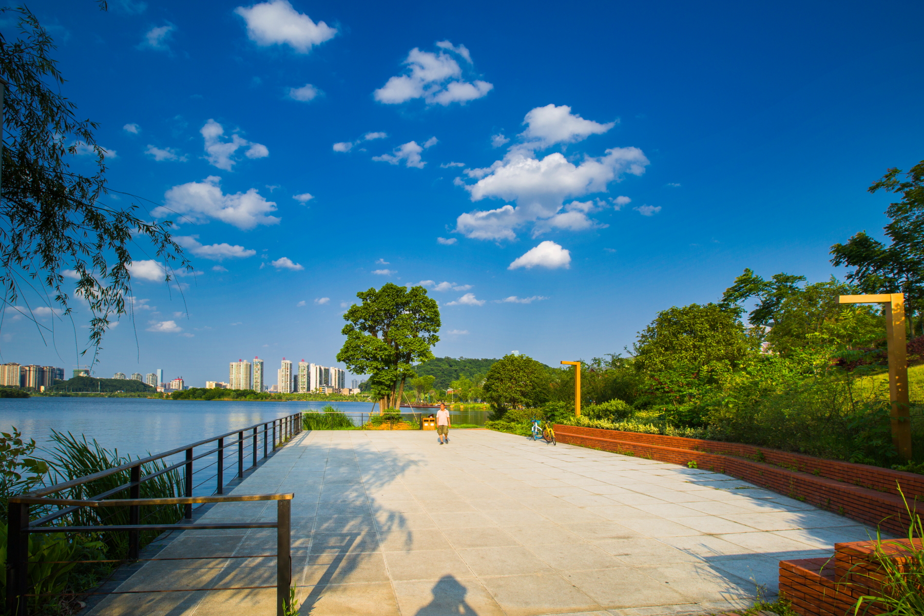 西湖文化公園夏景 4