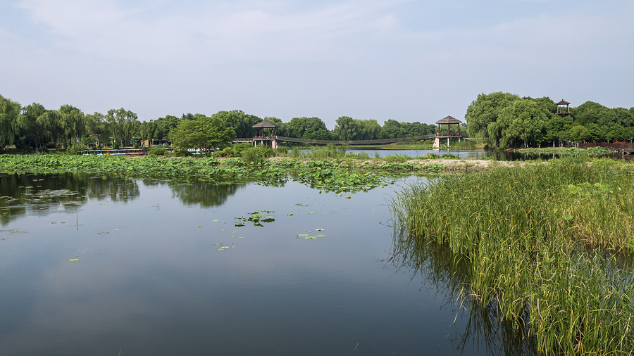 荷塘月色湿地公园