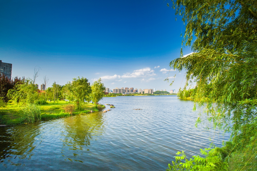 西湖文化公园夏景5