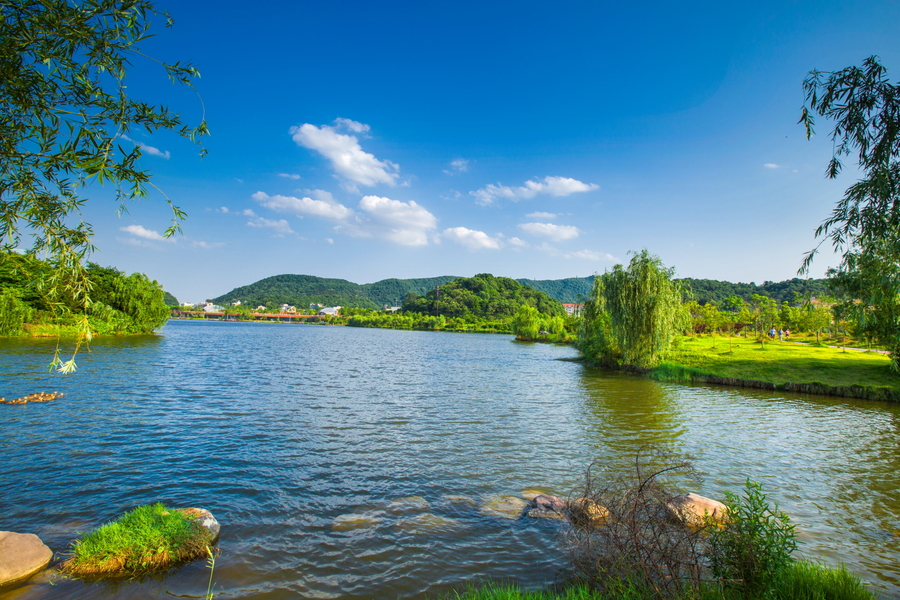 西湖文化公园夏景 5