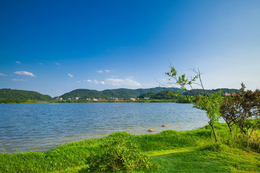 西湖文化公园夏景 6