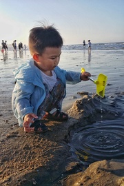 海滩上玩耍的小男孩