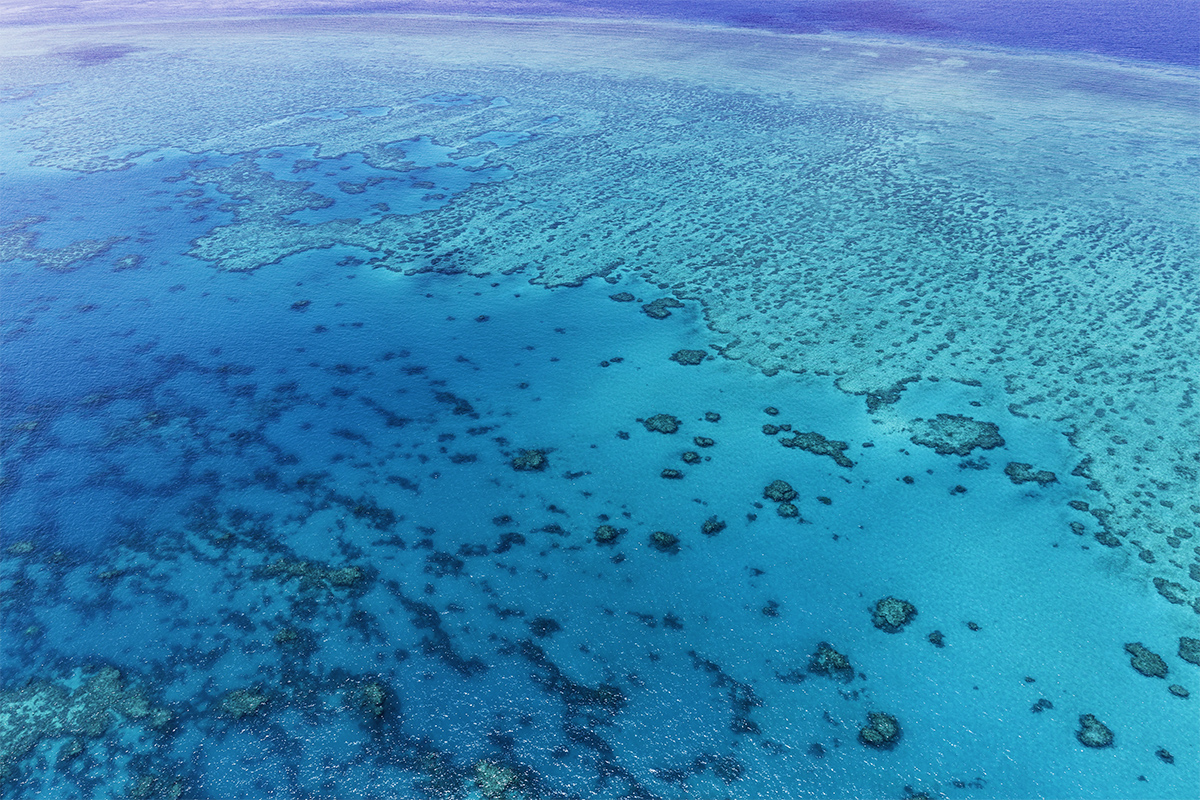 凱恩斯的421天（大堡礁潛水攻略） - 澳大利亚游记攻略【携程攻略】