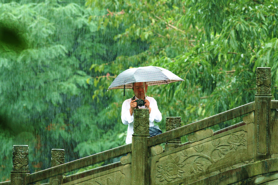 在雨中