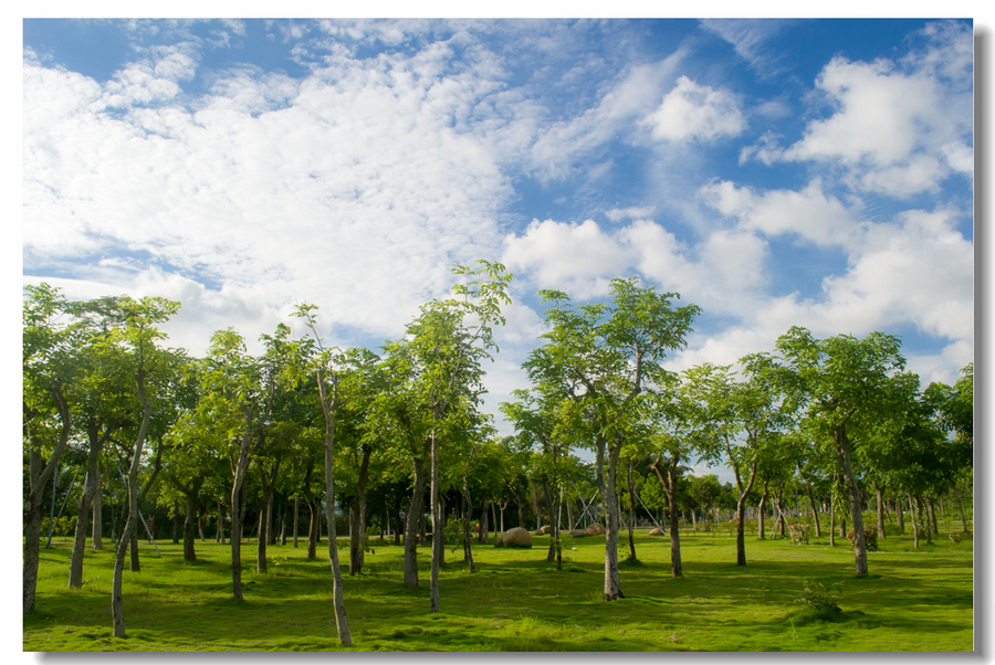 汕頭北郊公園