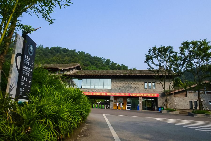 青城山腳下的熊貓樂園