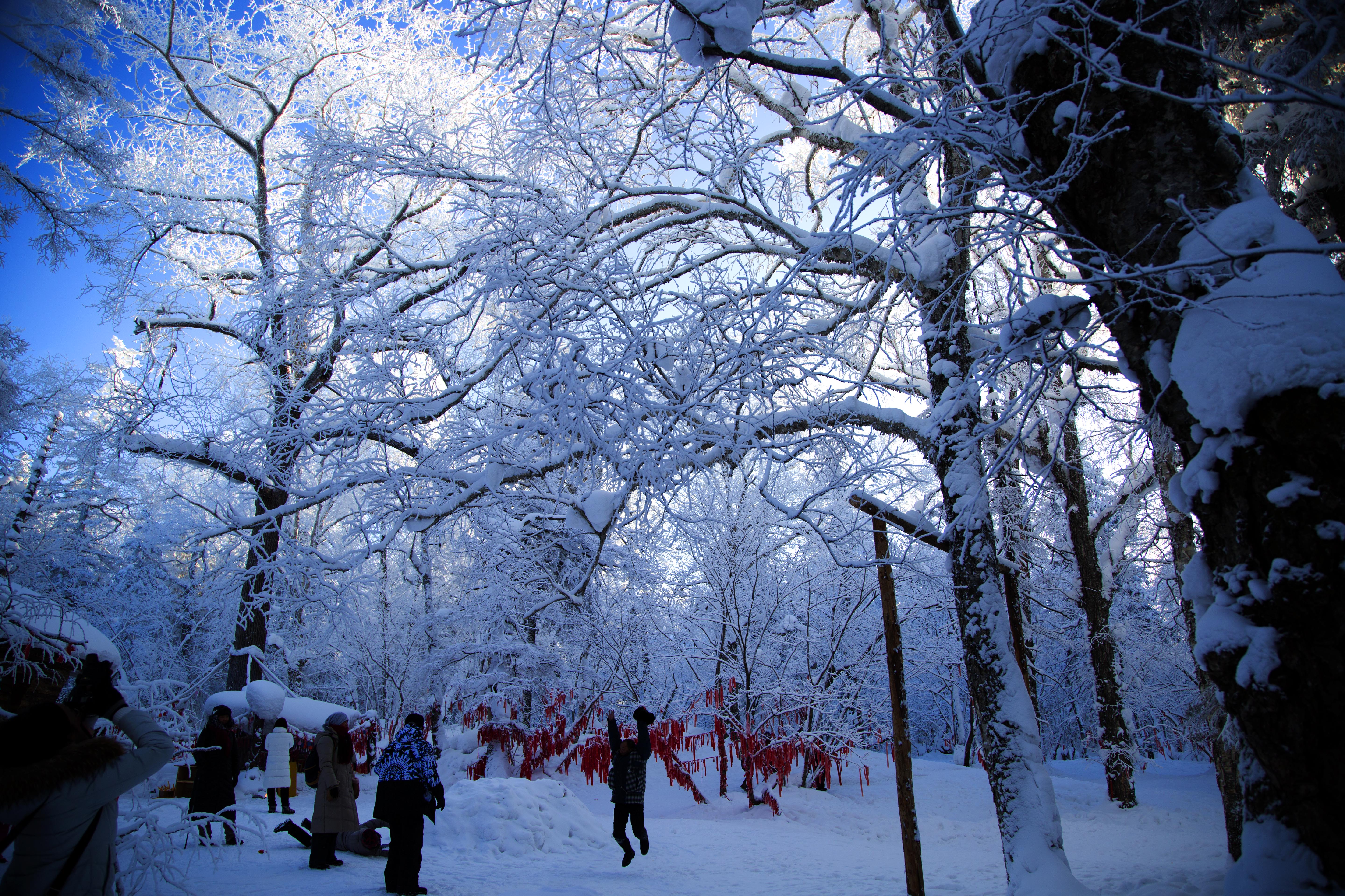 冰雪画廊图片图片