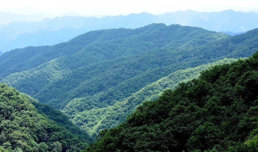 大美黃龍山