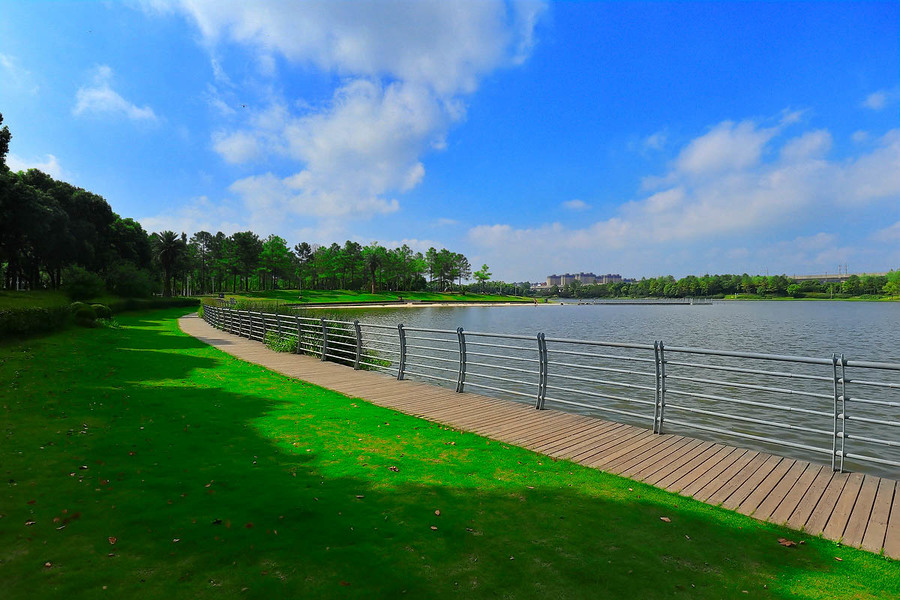 上海美兰湖公园图片