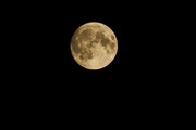 国产加尔达420—800/8拍十五的月亮