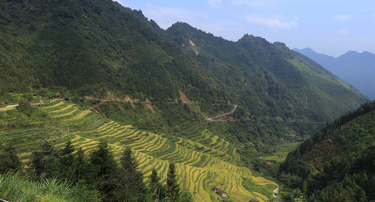 大山里的秋色的图片图片