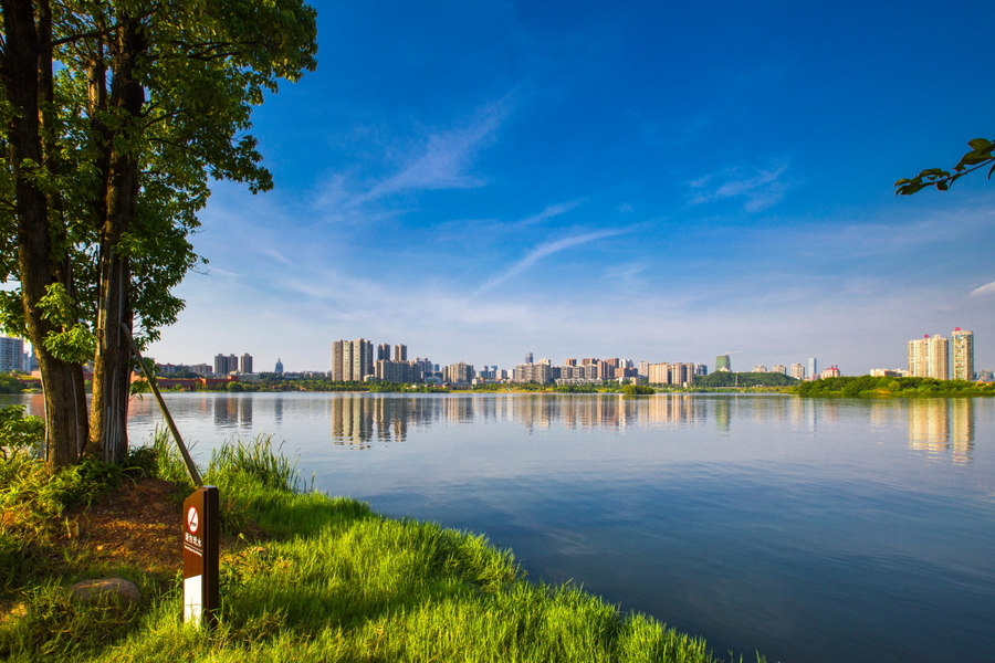 西湖文化公園秋季風景2