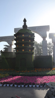 布置中的国庆花坛-人民公园