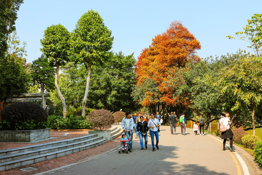 天河公園隨拍