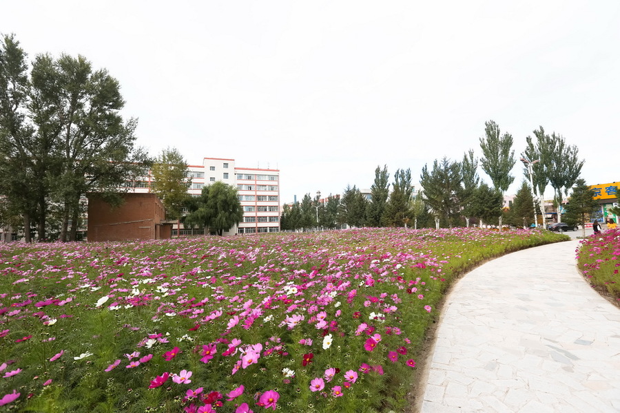 吉林师范大学的秋天