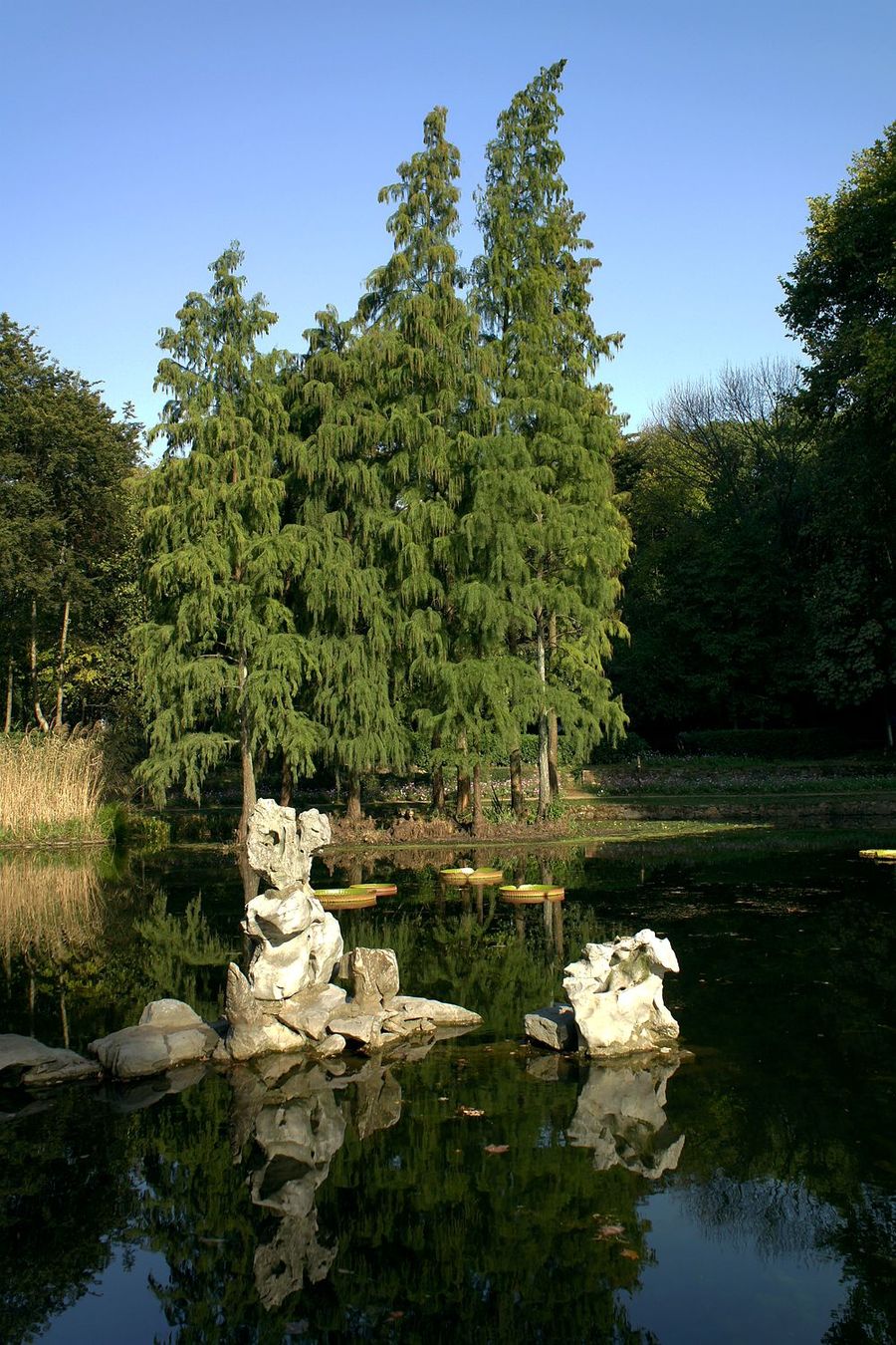 風光片武漢植物園隨拍二十一