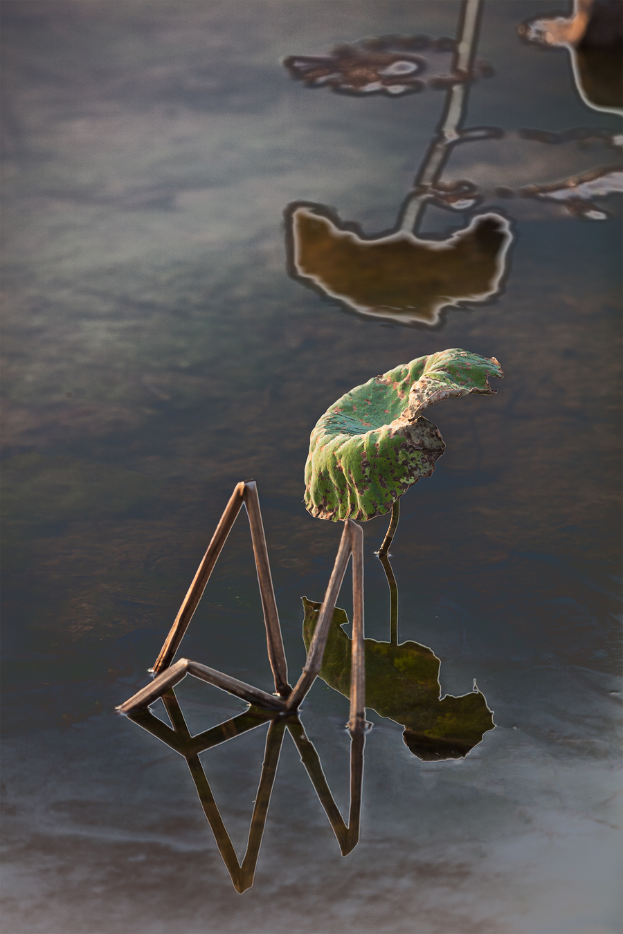 ſڵķ羰3
