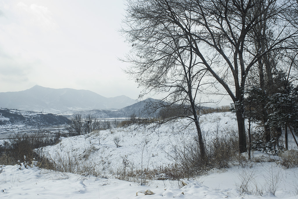 山村初雪