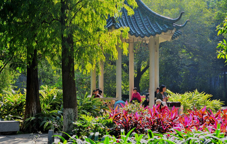 黃花崗公園!