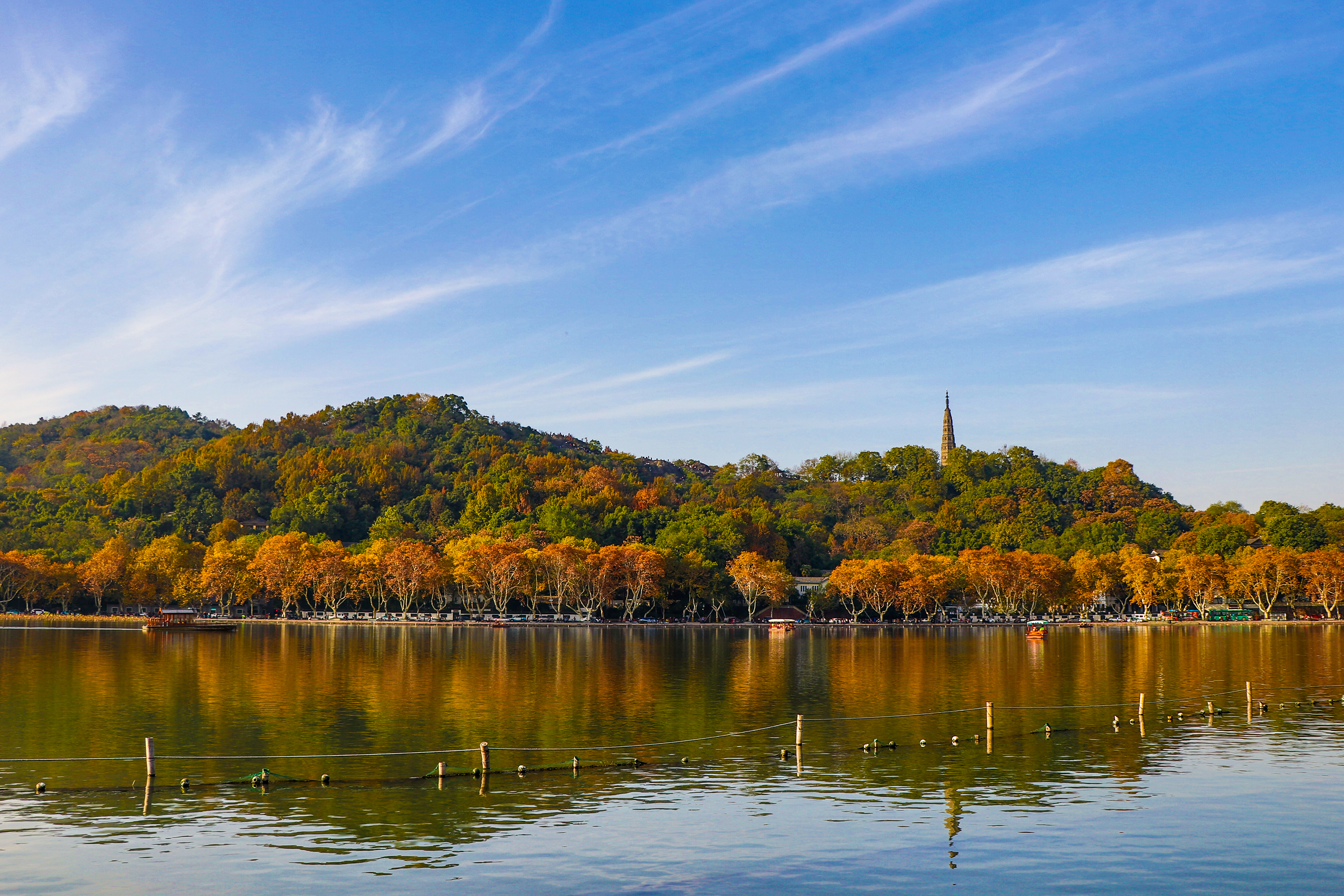 秋日西湖,一副色彩艳丽的山水画