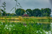 尚湖公园拍风景 11