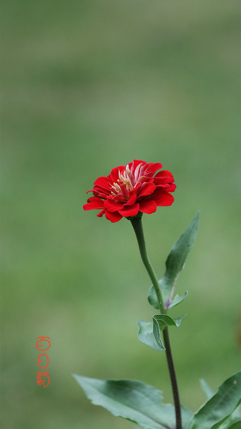԰İվ-5