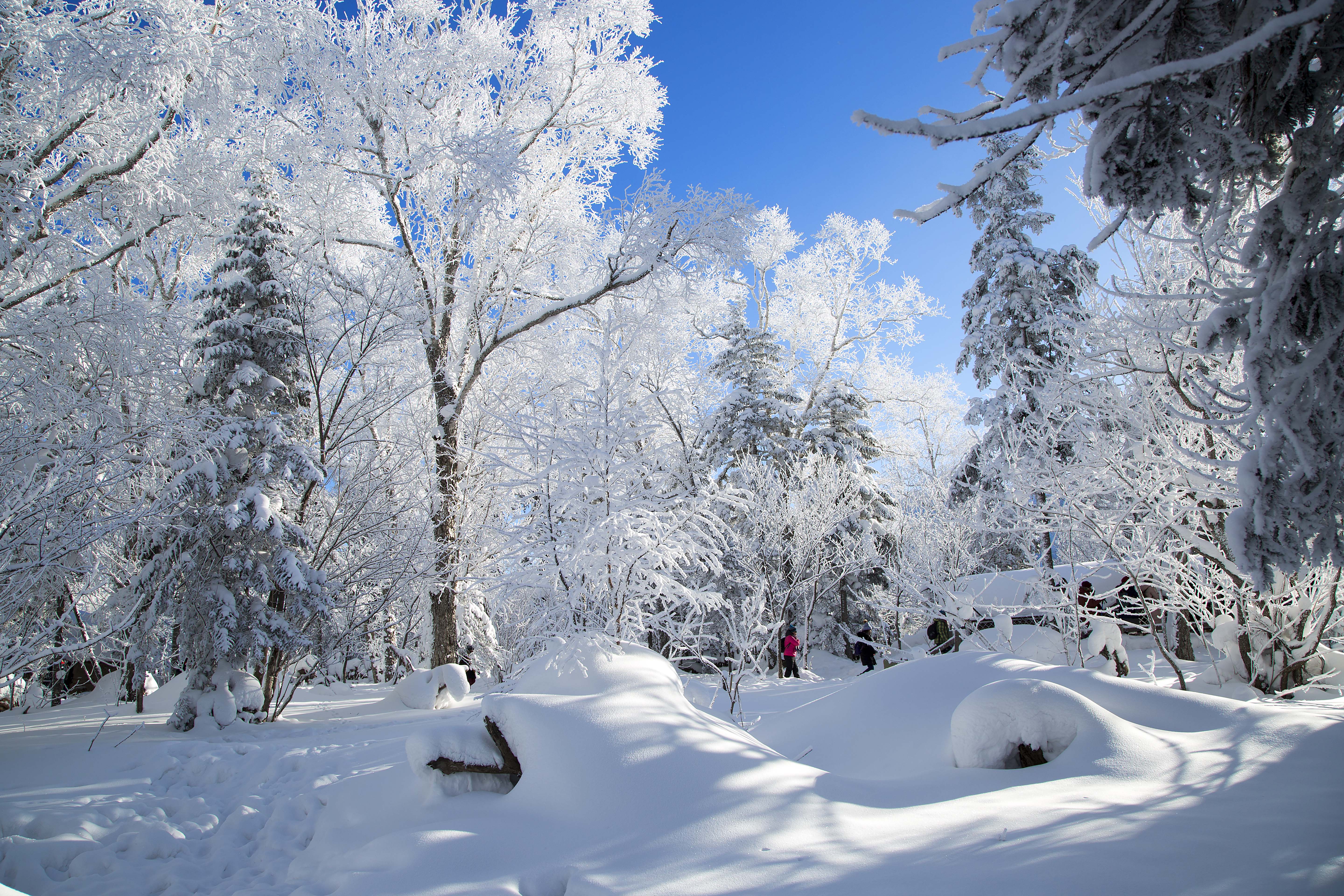 冰雪画廊图片图片