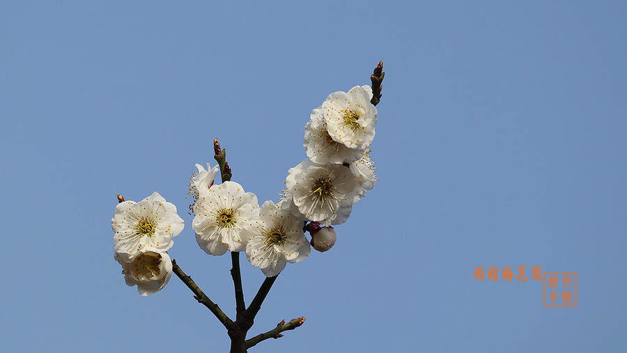 컨ܡ2018÷-6