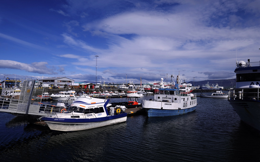 冰岛雷克雅未克码头