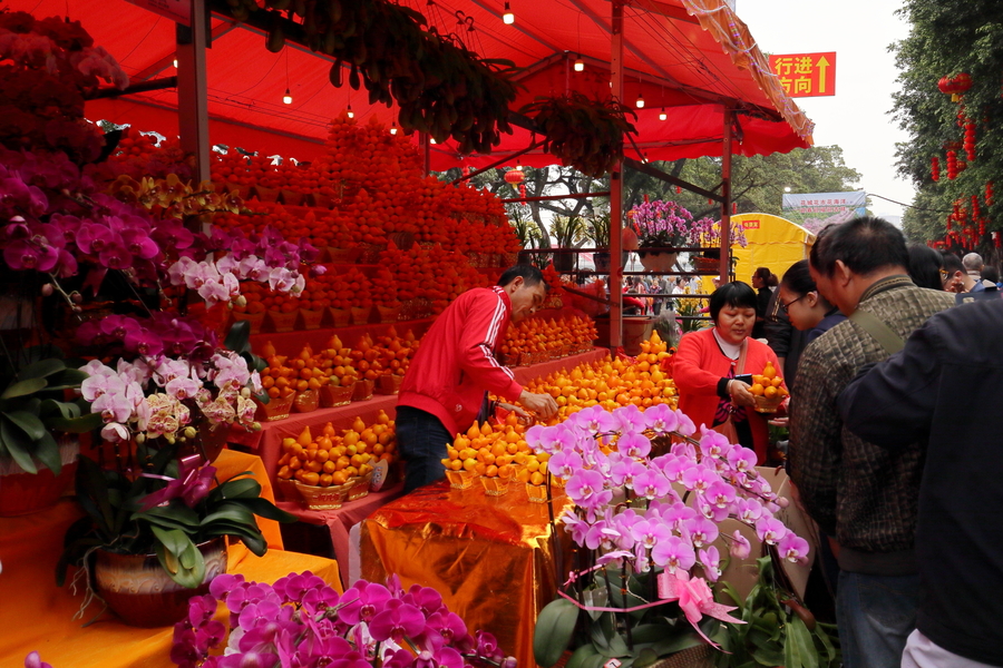 2019广州迎春花市随拍(二)