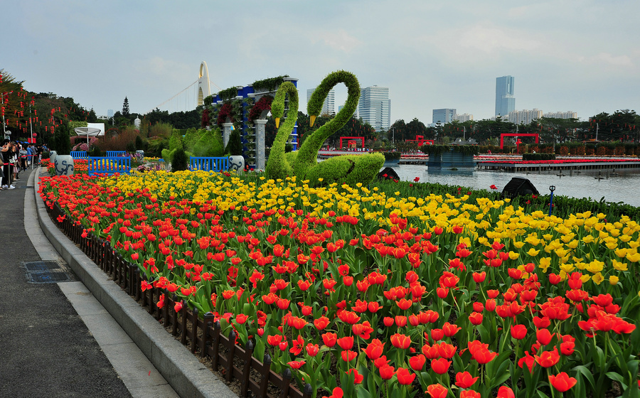广州花卉博览园图片图片