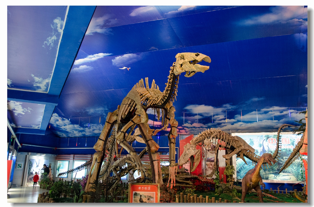 2021诸城恐龙博物馆-旅游攻略-门票-地址-问答-游记点评，诸城旅游旅游景点推荐-去哪儿攻略